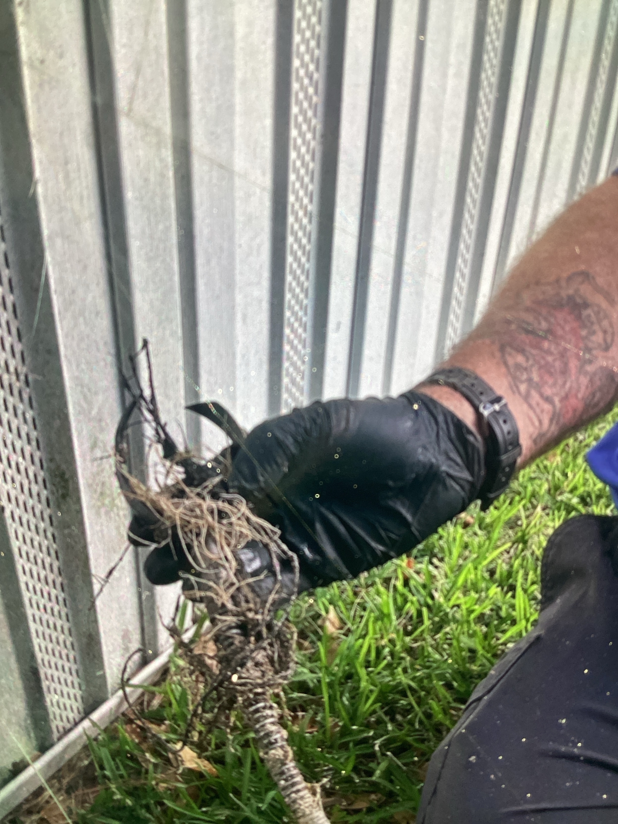 Sewer Snake & Auger Work